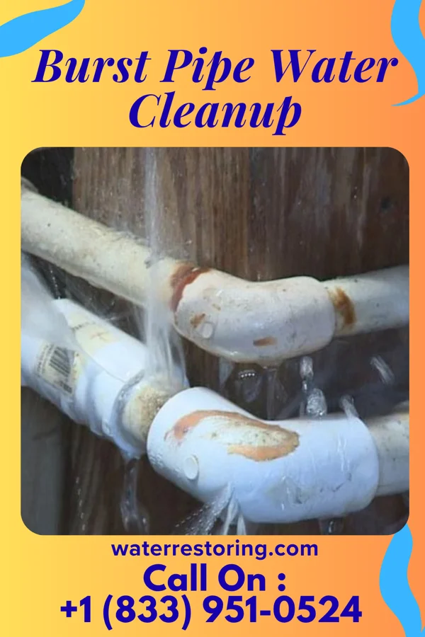 Burst Pipe Water Cleanup in Iola, WI