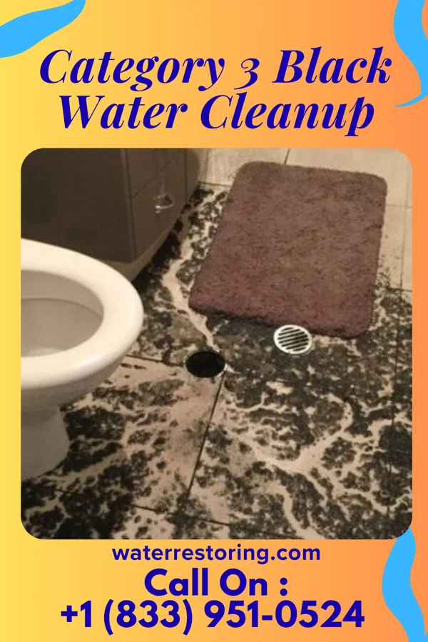 Category 3 Black Water Cleanup in Iola, WI