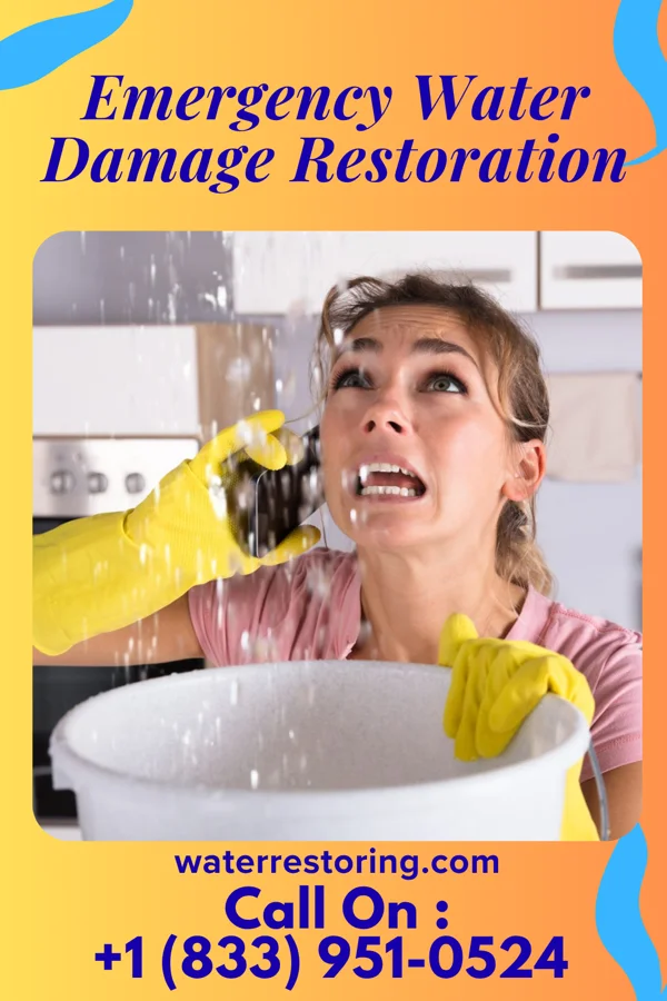 Emergency Water Damage Restoration in Iola, WI