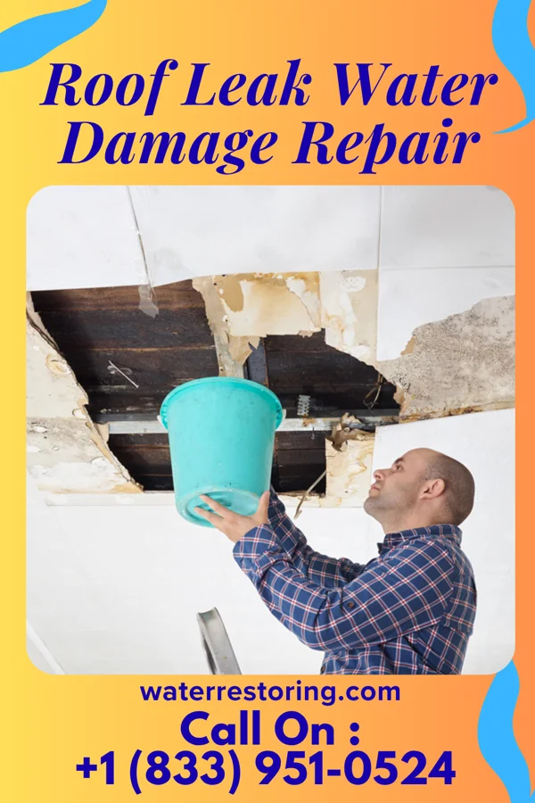 Roof Leak Water Damage Repair in Iola, WI