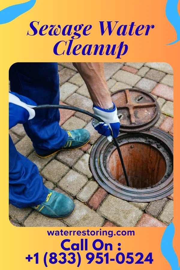Sewage Water Cleanup in Iola, WI